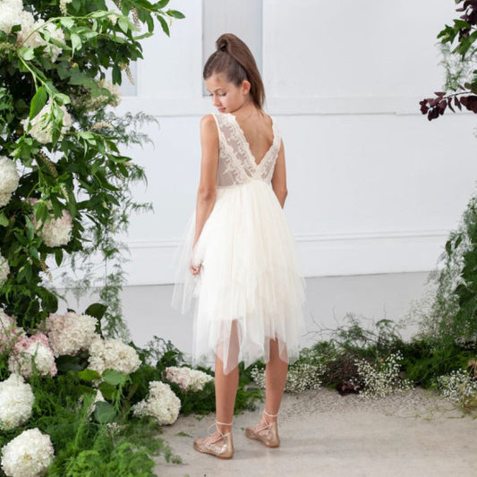 Sophie Lace Bodice Tutu Dress - Limited Edition