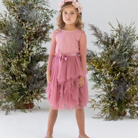 Sally L/S Spot Tutu Dress
