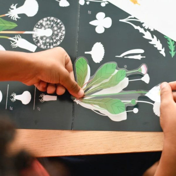 Poppik - Stickers poster BOTANY