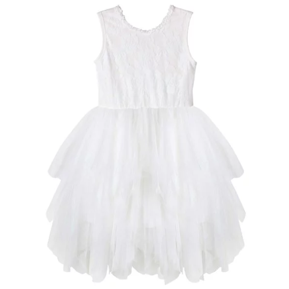Ella Lace Tutu dress