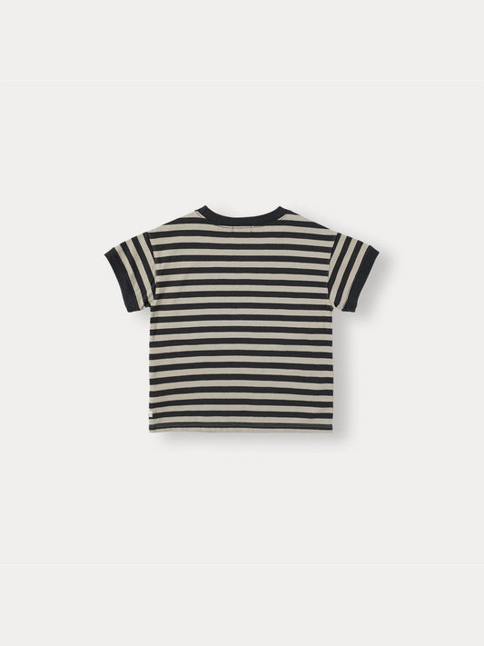 Marine Stripe T-shirt - Navy